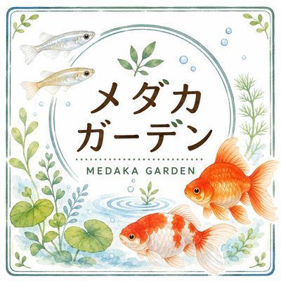 メダカガーデン